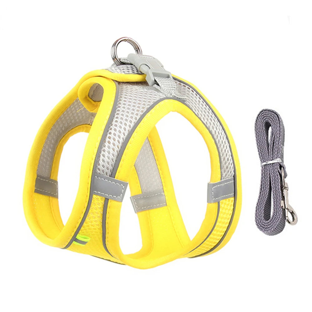 ComfortFit™ Step-In Mesh Harness & Leash Set