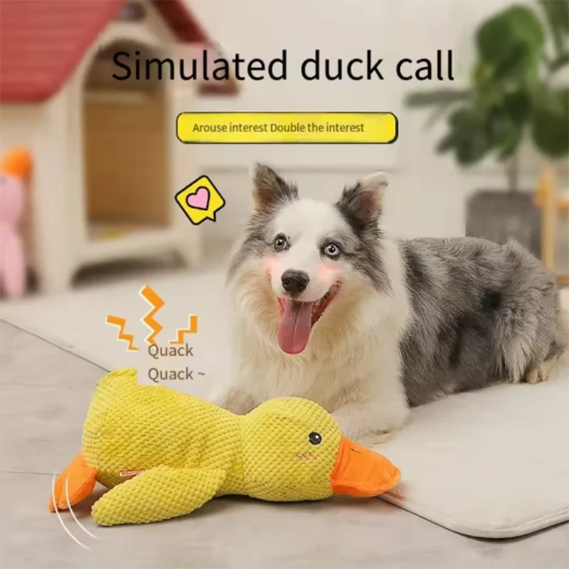 SoftPet Squeaky Plush Duck