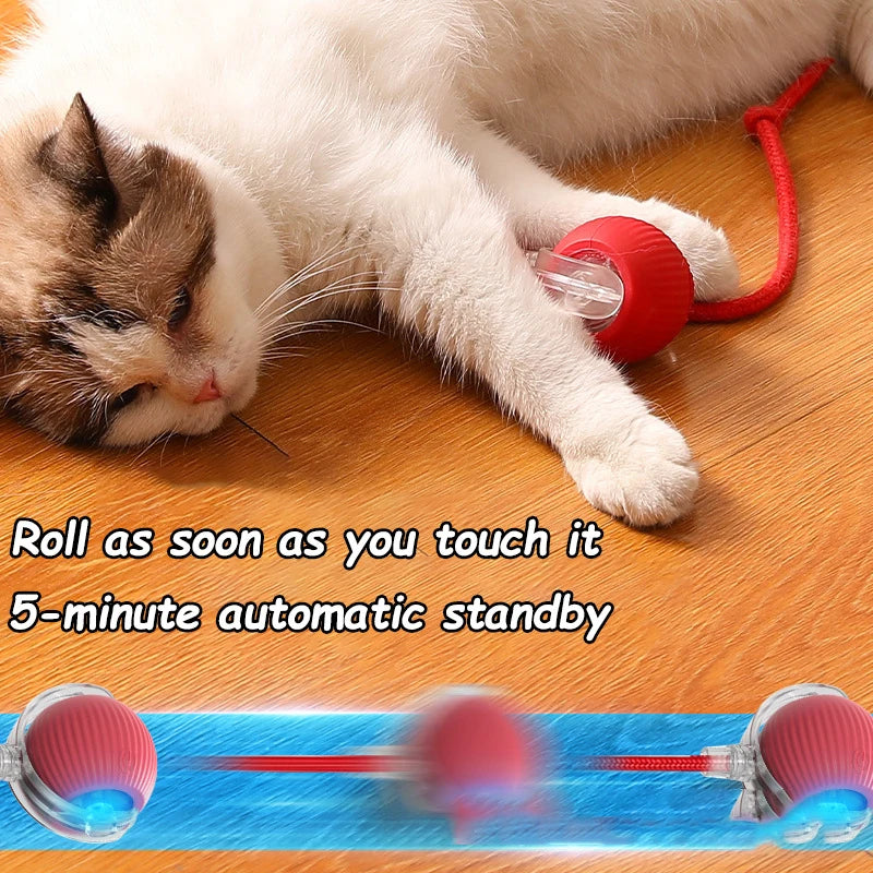 Interactive Suction Wand Cat Toy