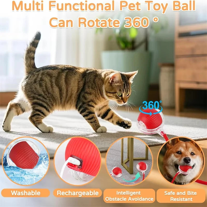 Interactive Suction Wand Cat Toy