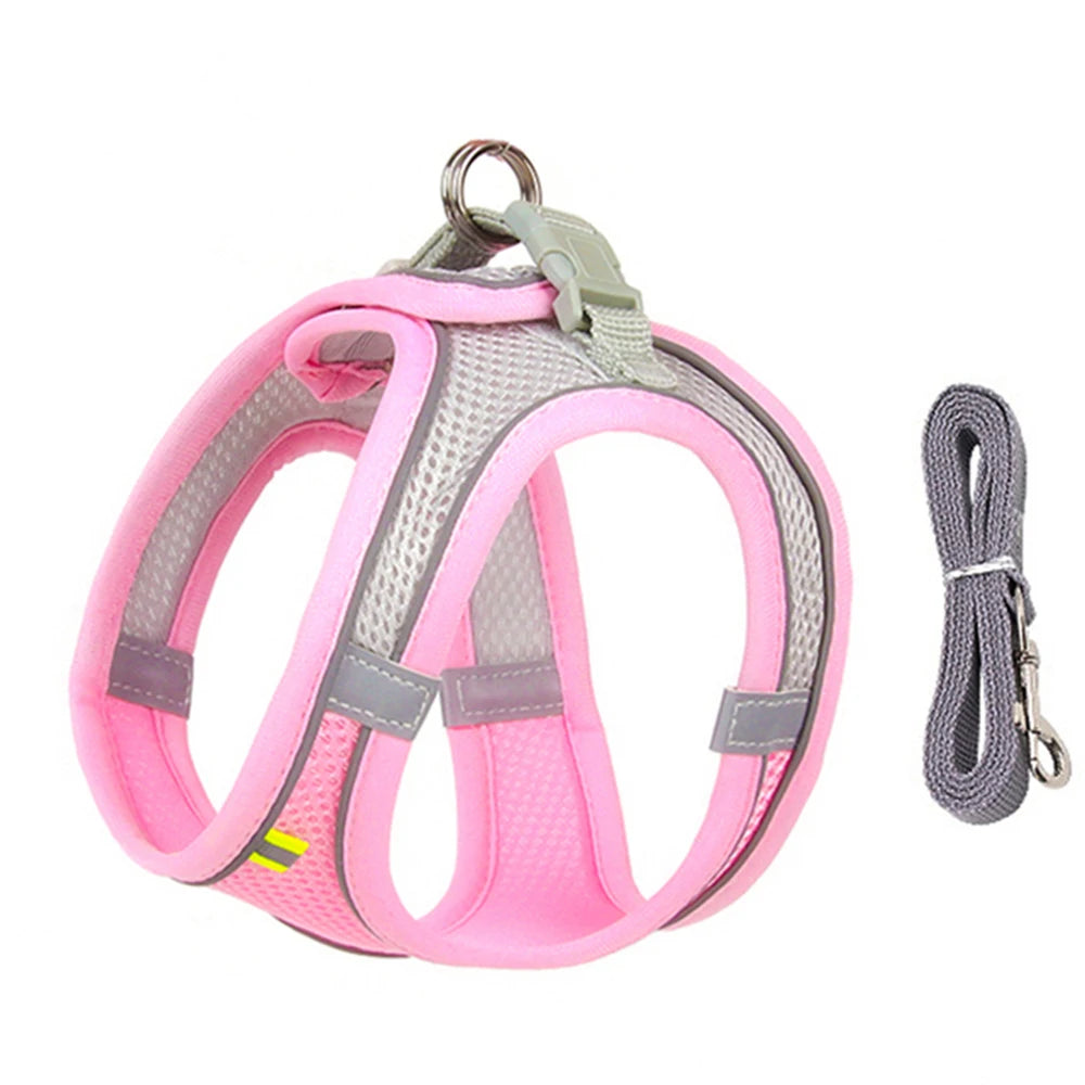 ComfortFit™ Step-In Mesh Harness & Leash Set