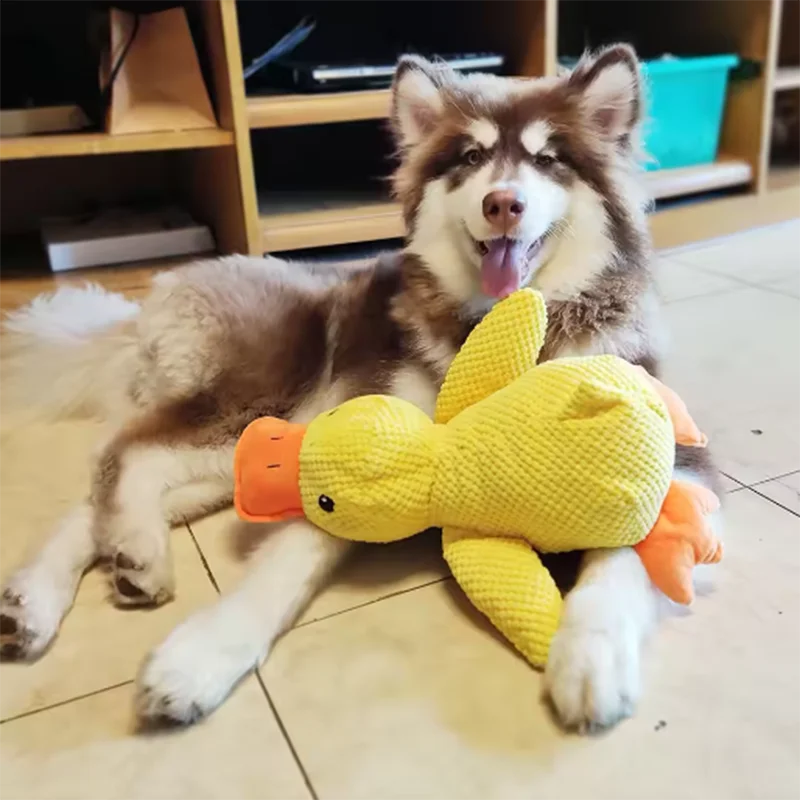 SoftPet Squeaky Plush Duck