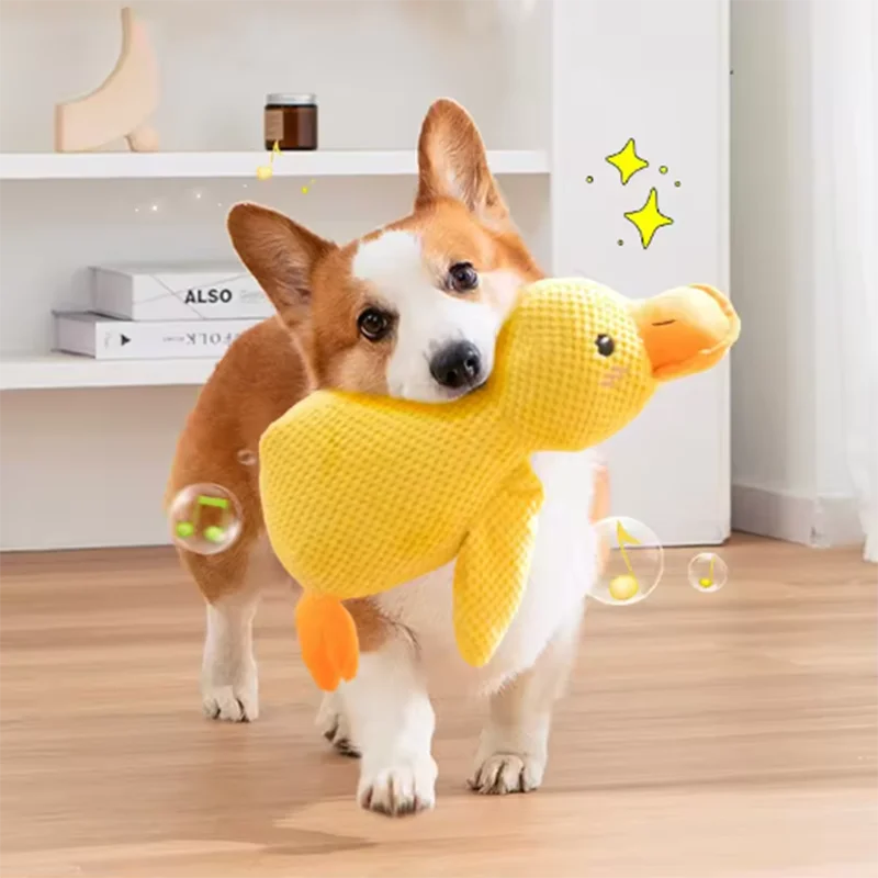 SoftPet Squeaky Plush Duck