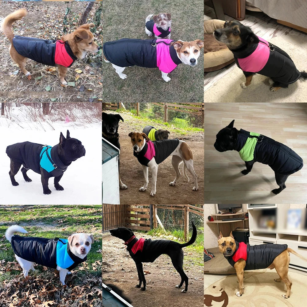 ProPet™ Shield Waterproof Winter Jacket for Dogs