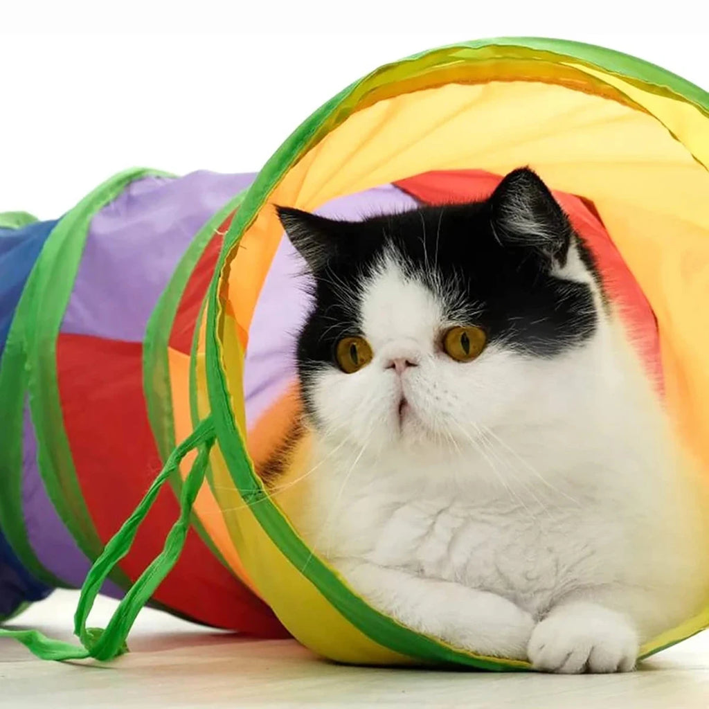 PlayTunnel™ Foldable Pet Activity Tube