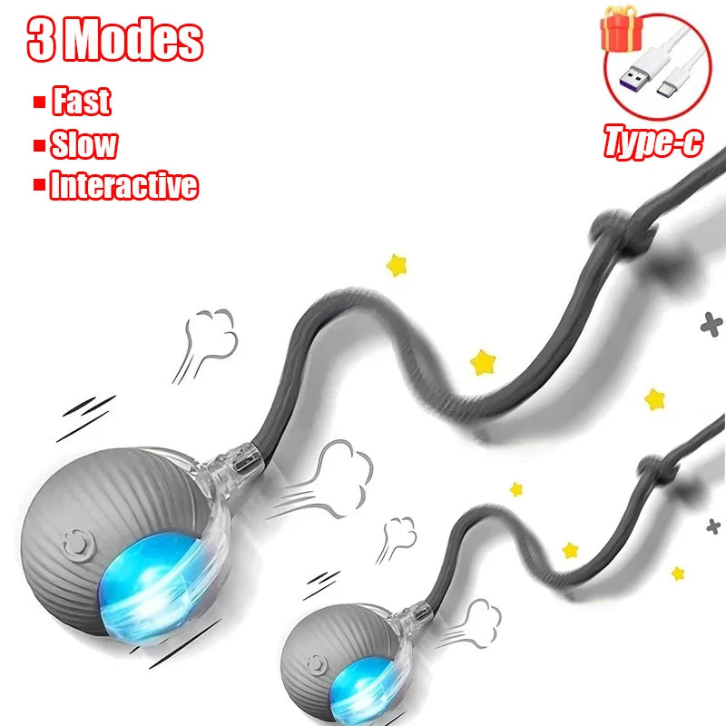 Interactive Suction Wand Cat Toy