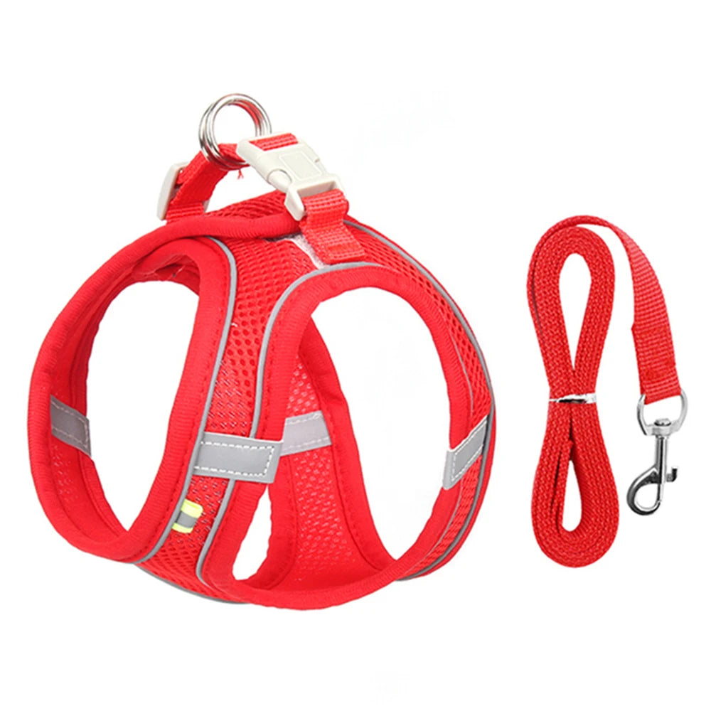 ComfortFit™ Step-In Mesh Harness & Leash Set