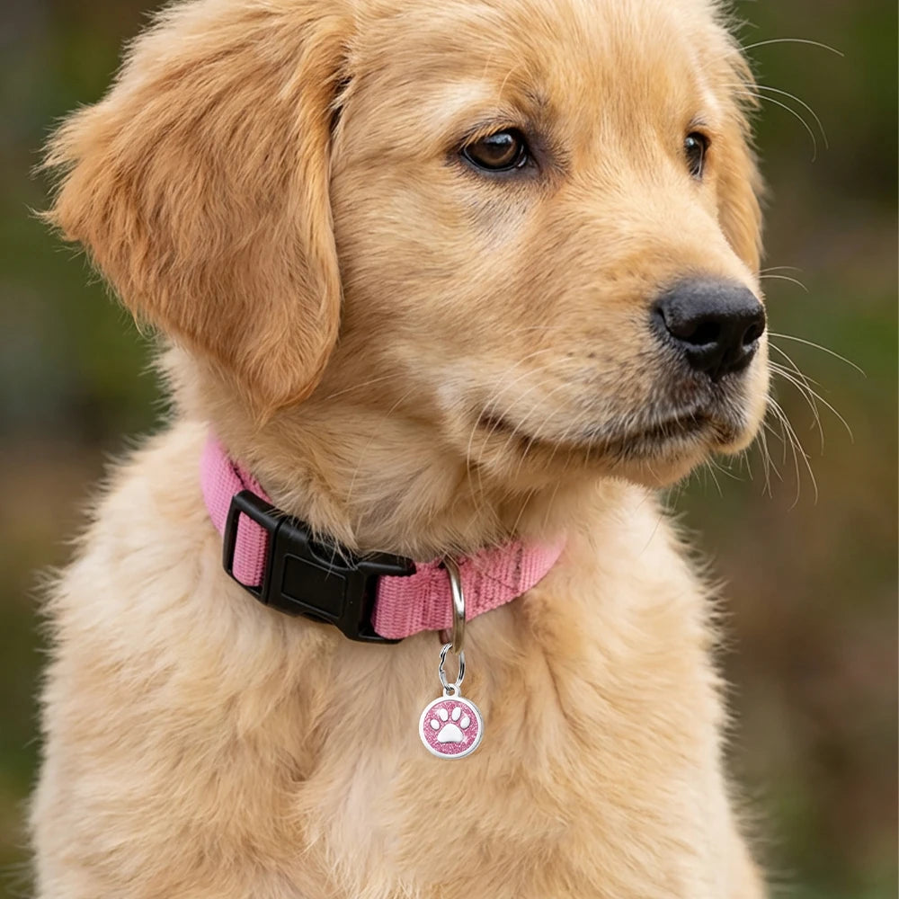 Personalized Dog Cat Plate Tags  Pendant