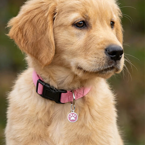 ClassicTag Personalized Metal ID Tag