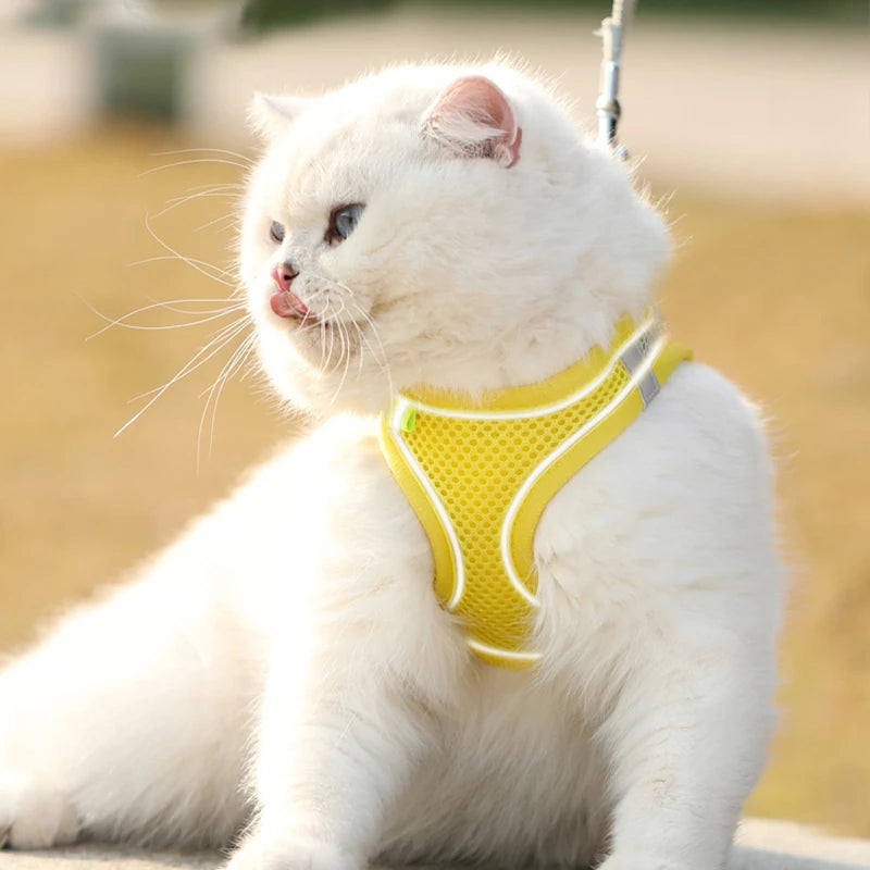 ComfortFit™ Step-In Mesh Harness & Leash Set