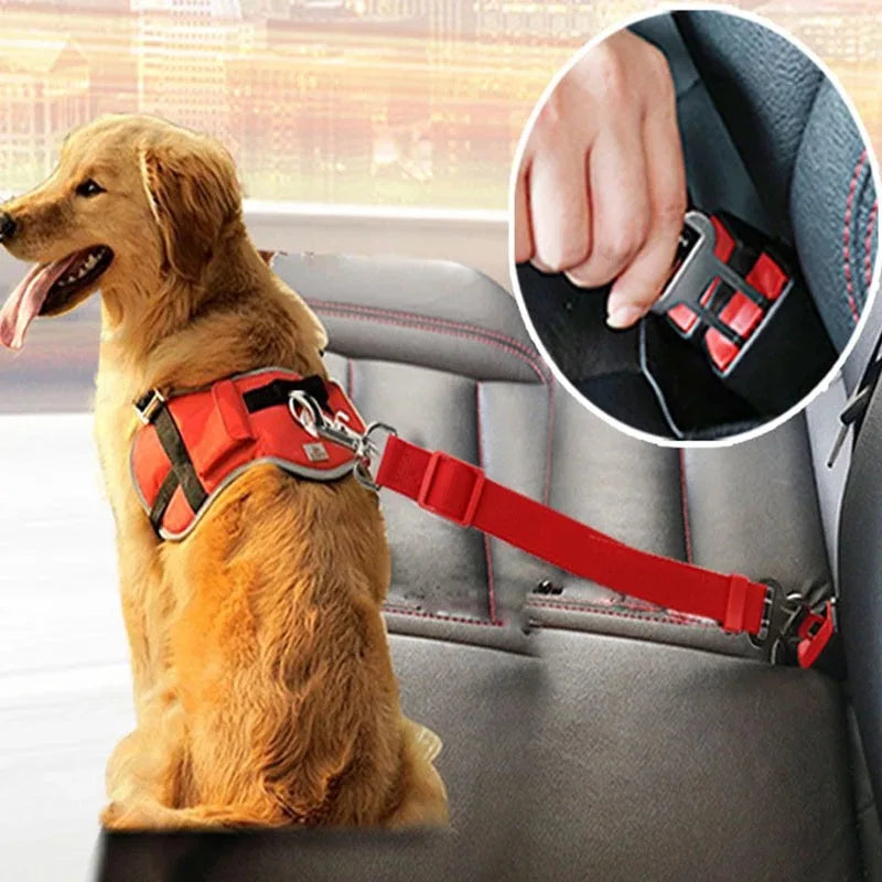 Adjustable Dogs Accessoires