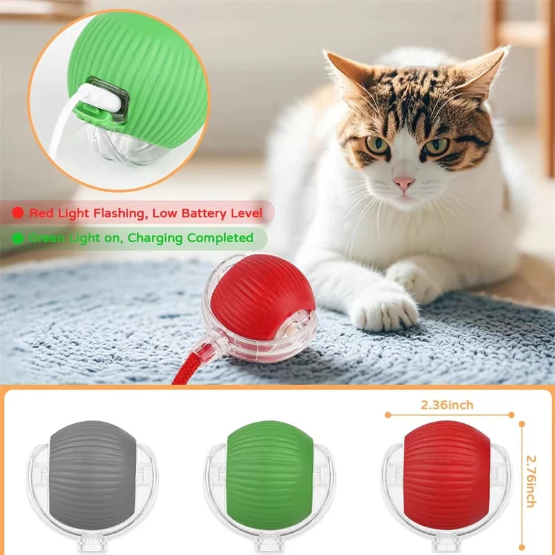 Interactive Suction Wand Cat Toy