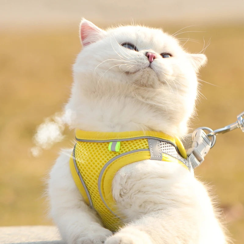 ComfortFit™ Step-In Mesh Harness & Leash Set