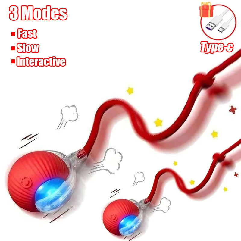 Interactive Suction Wand Cat Toy