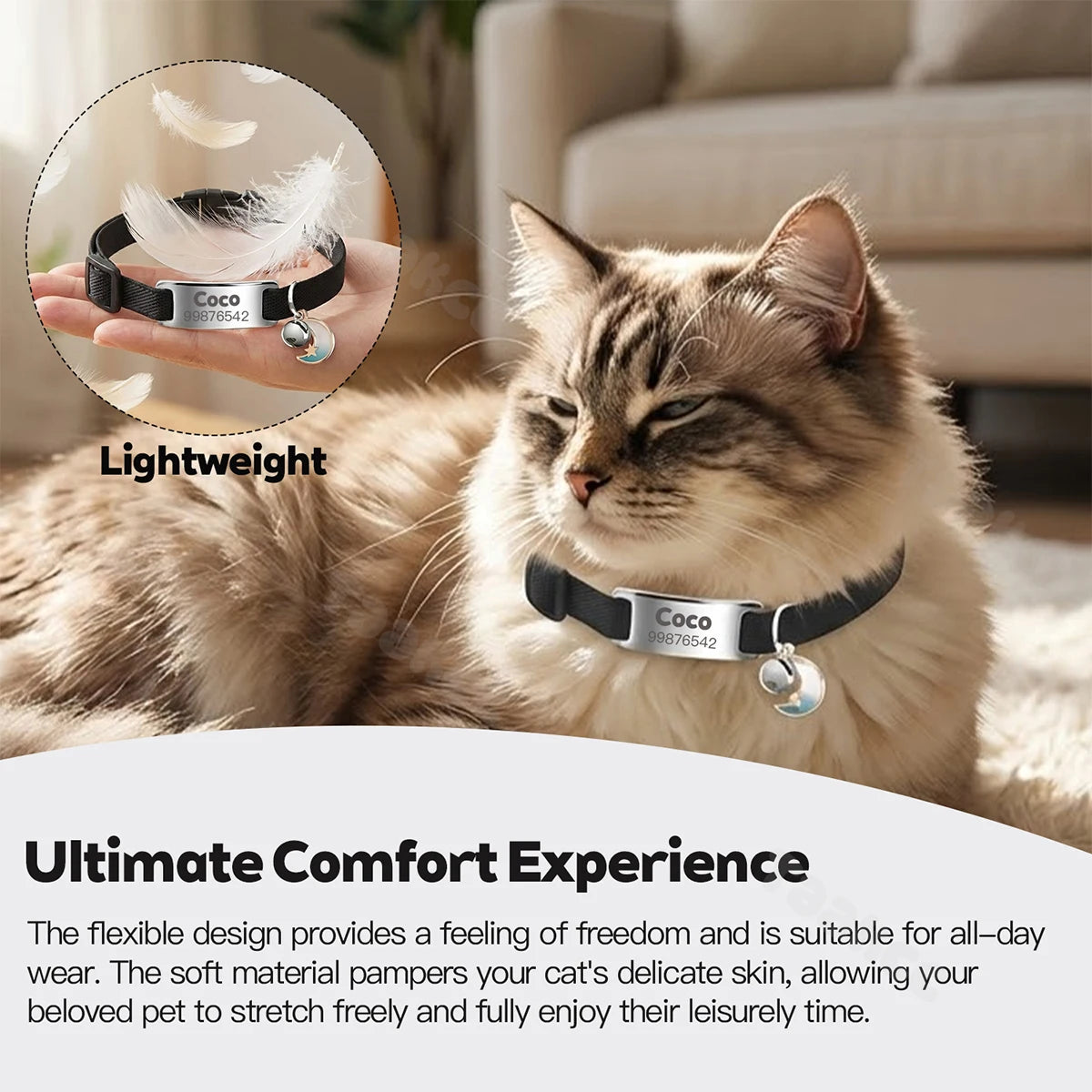 Personalized Engraved Pet ID Collar