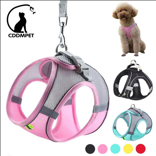 ComfortFit™ Step-In Mesh Harness & Leash Set