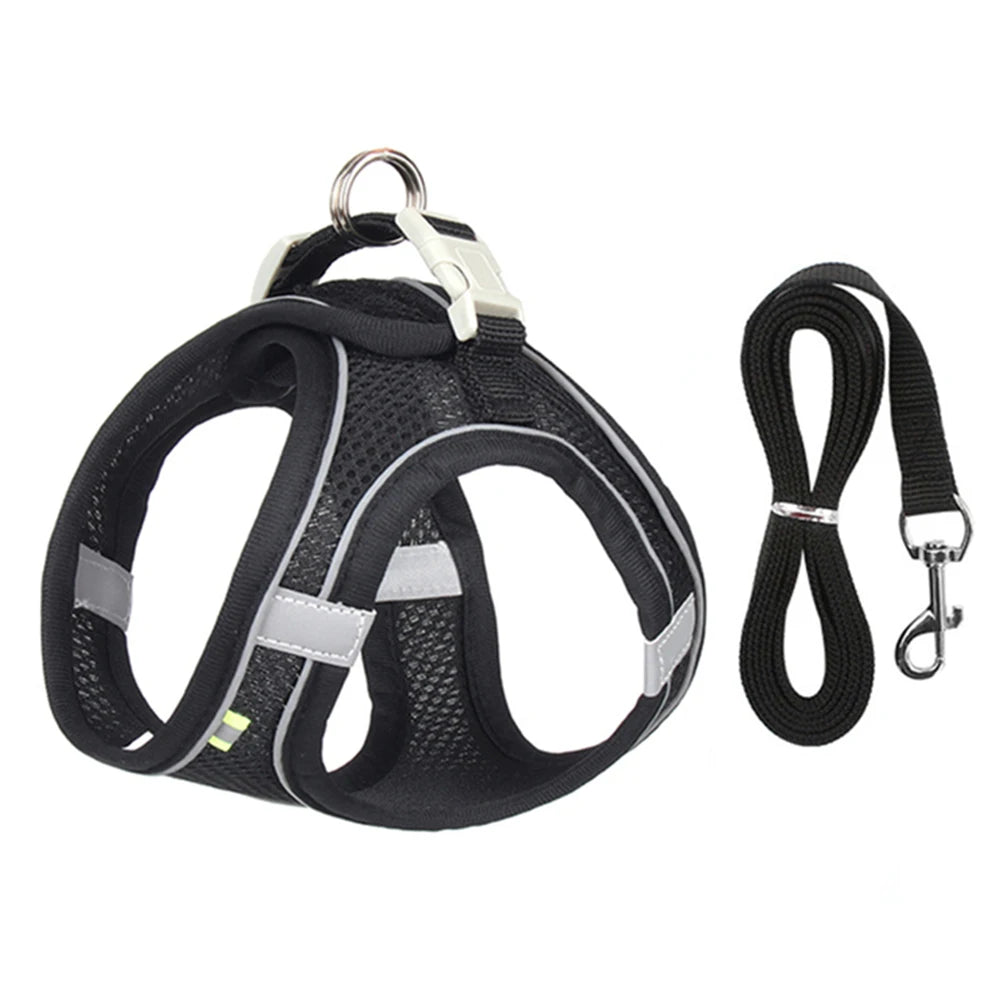 ComfortFit™ Step-In Mesh Harness & Leash Set