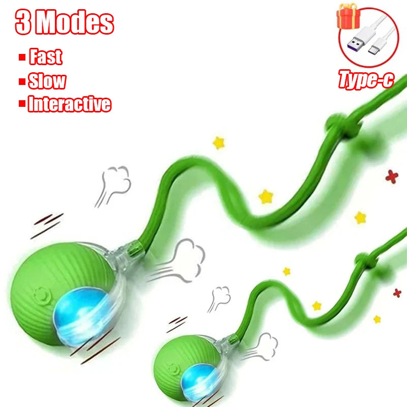 Interactive Suction Wand Cat Toy