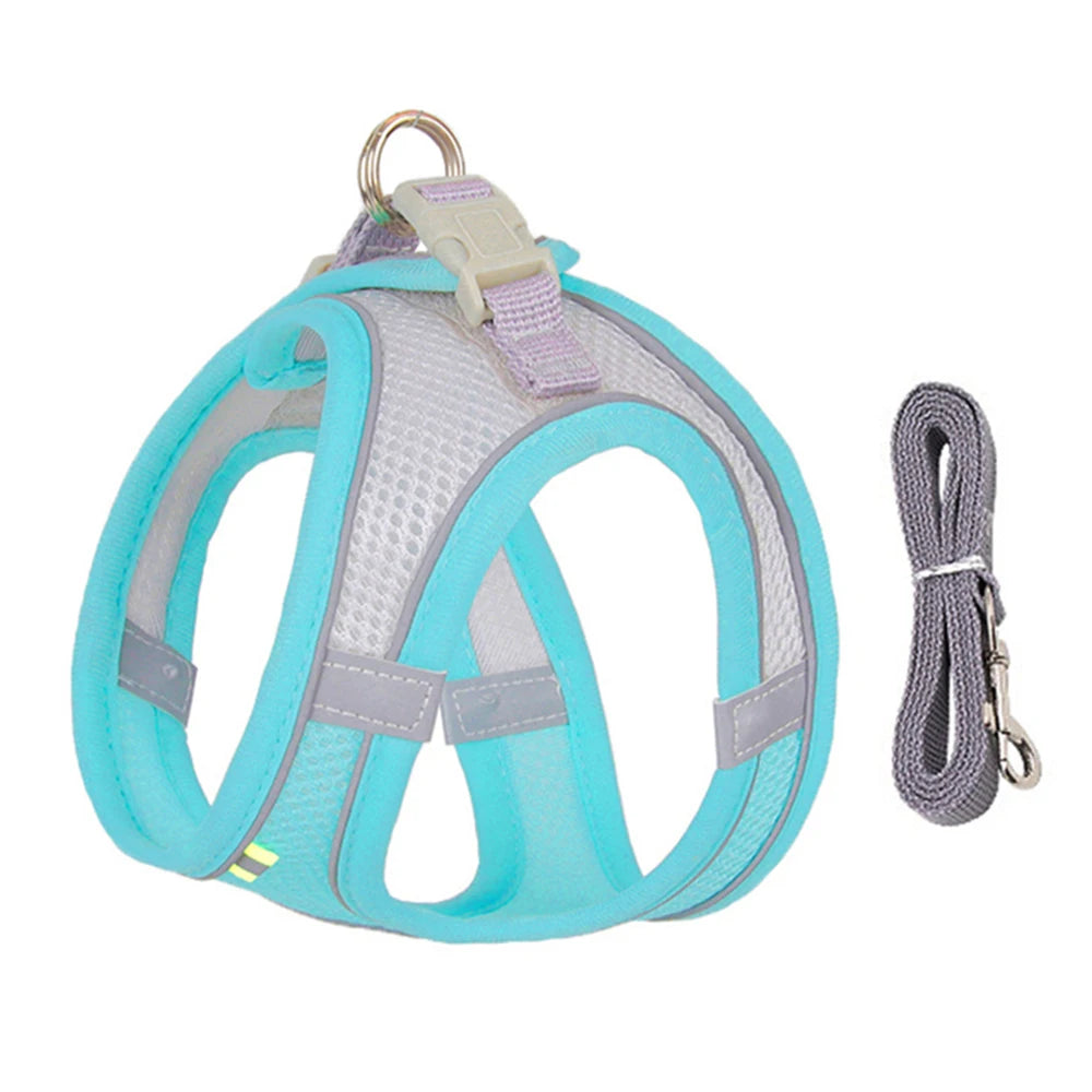 ComfortFit™ Step-In Mesh Harness & Leash Set